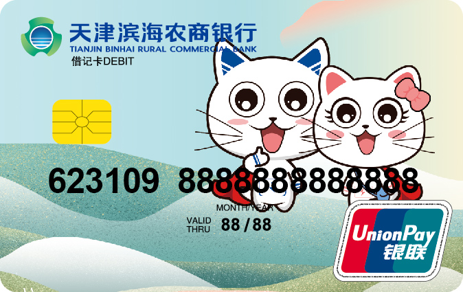 新Logo-天津滨海农商银行标准卡-正面